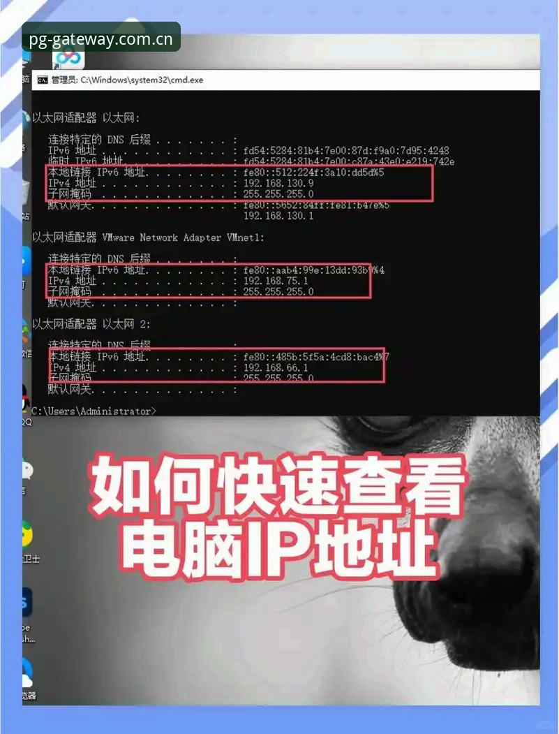 PG电子PC版地址使用详解：老用户教你如何快速找到官方入口